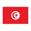 Autocollant Drapeau Tunisia Tunisie sticker flag