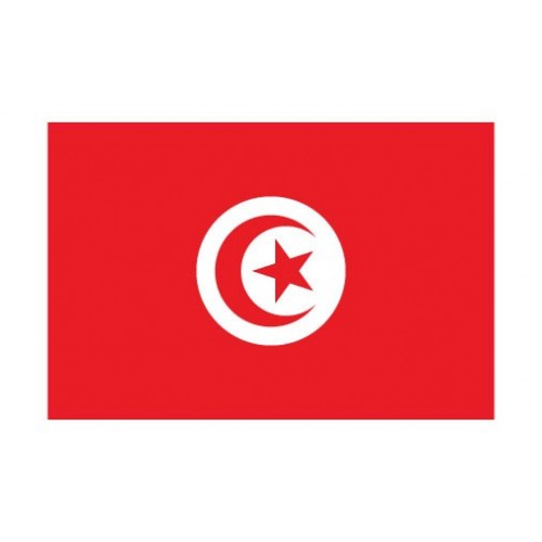 Autocollant Drapeau Tunisia Tunisie sticker flag