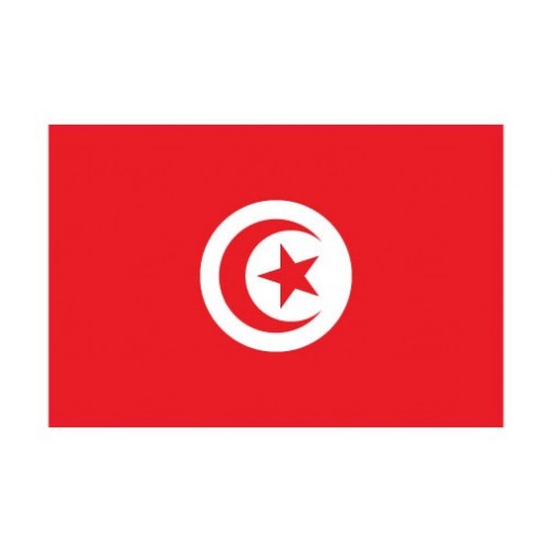 Autocollant Drapeau Tunisia Tunisie sticker flag