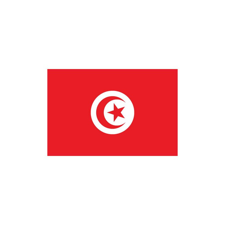Autocollant Drapeau Tunisia Tunisie sticker flag