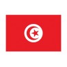 Autocollant Drapeau Tunisia Tunisie sticker flag