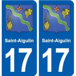 17 Saint-Aigulin blason ville autocollant plaque sticker