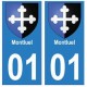 01 Montluel city sticker plate