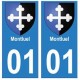 01 Montluel ville autocollant plaque