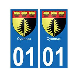 01 Oyonnax ville autocollant plaque