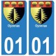 01 Oyonnax ville autocollant plaque