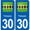 30 Tresques blason ville autocollant plaque stickers