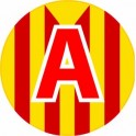 A young driver apprentice adhesive sticker Catalan flag