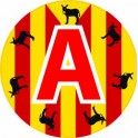 A young driver learner sticker adhesive Catalan multi-burro 