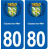 80 Cayeux-sur-Mer blason autocollant plaque stickers ville