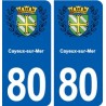 80 Cayeux-sur-Mer blason autocollant plaque stickers ville