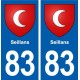 83 Seillans blason autocollant plaque stickers ville