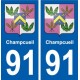 91 Champcueil blason autocollant plaque stickers ville