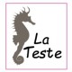 Autocollant hippocampe La Teste stickers blason logo 1