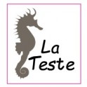 Autocollant hippocampe La Teste stickers blason logo 1