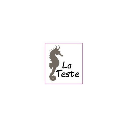 Autocollant hippocampe La Teste stickers blason logo 1