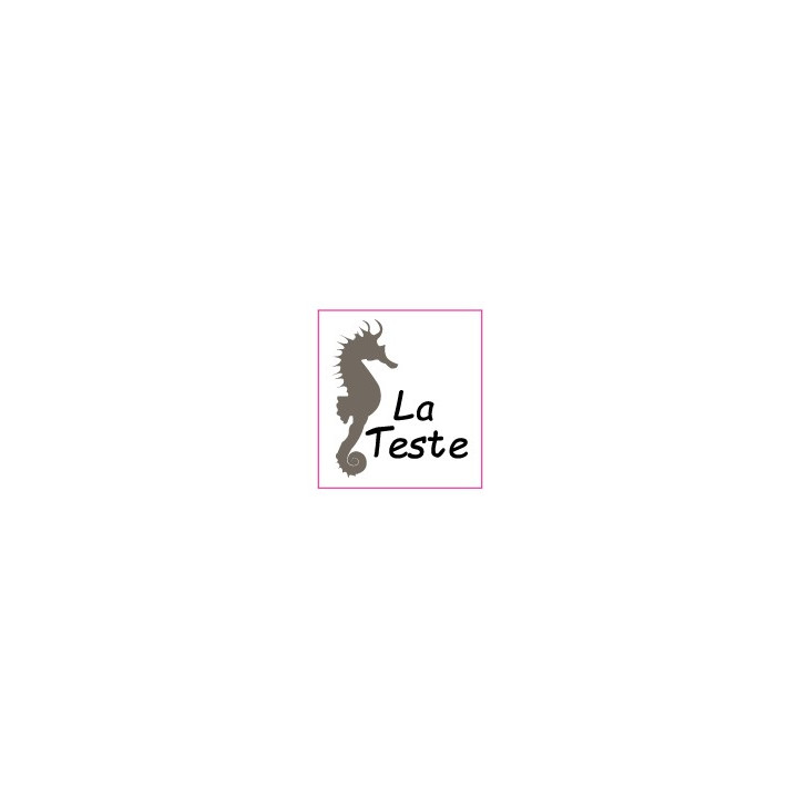 Autocollant hippocampe La Teste stickers blason logo 1