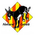 Burro natural catala ane autocollant adhésif sticker catalan losange logo 1
