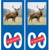 Autocollant plaque immatriculation image de cerf