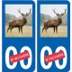 Autocollant plaque immatriculation image de cerf