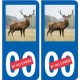 Autocollant plaque immatriculation image de cerf