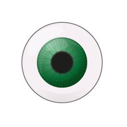 Oeil- Autocollants Stickers caches enjoliveurs  pour jante auto
