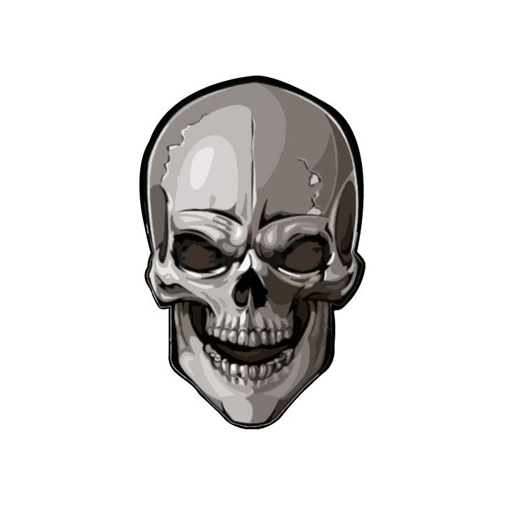 Autocollant tête de mort couleur 8-5