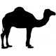 Aufkleber Kamel tier-sticker kleber-logo 2