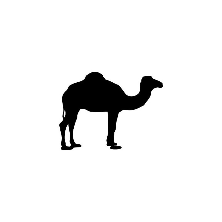 Autocollant Dromadaire animal stickers adhesif logo 1