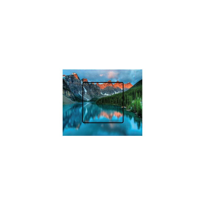 Stickers paysage forêt sticker autocollant interrupteur