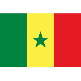 Autocollant Drapeau Sénégal sticker flag
