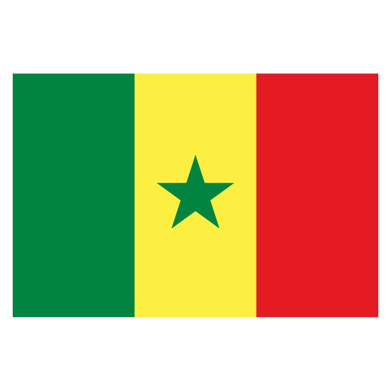 Autocollant Drapeau Sénégal sticker flag
