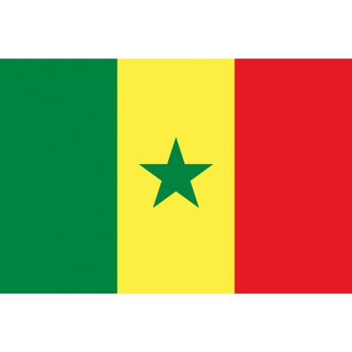 Autocollant Drapeau Sénégal sticker flag