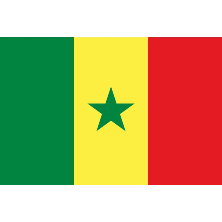 Autocollant Drapeau Sénégal sticker flag