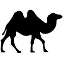 Autocollant Dromadaire animal stickers adhesif logo 1