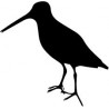 Autocollant logo Bécasse oiseau sticker