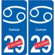Cancer astrologie autocollant plaque auto logo 1