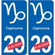 Capricorne astrologie autocollant plaque auto logo 1