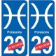 Poissons astrologie autocollant plaque auto logo 1