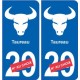 Taureau astrologie autocollant plaque auto logo 2