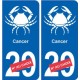 Cancer astrologie autocollant plaque auto logo 2
