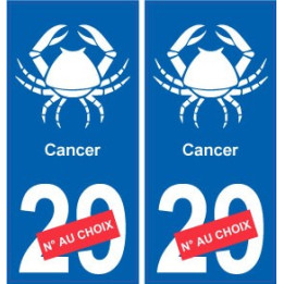 Cancer astrologie autocollant plaque auto logo 2