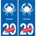 Cancer astrologie autocollant plaque auto logo 2