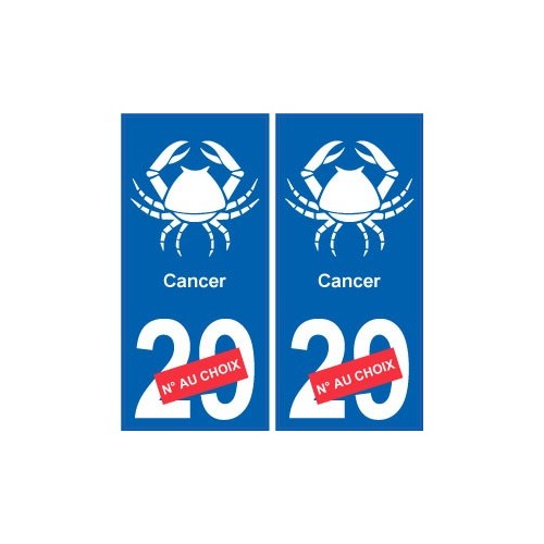 Cancer astrologie autocollant plaque auto logo 2