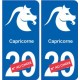 Capricorne astrologie autocollant plaque auto logo 2