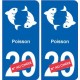 Poissons astrologie autocollant plaque auto logo 2