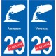 Verseau astrologie autocollant plaque auto logo 2
