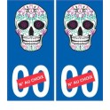 Skull fancy color sticker plate auto 2