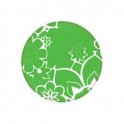 Fleur Vert- Autocollants Stickers caches enjoliveurs  pour jante auto