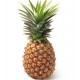 autocollant ananas photo couleur